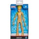 Action Figure Groot Guardiões Da Galáxia Olympus 25cm Hasbro UNICA